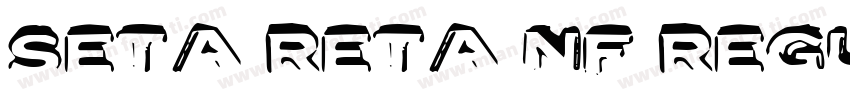 Seta Reta NF Regular字体转换